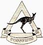 A Squadron logo