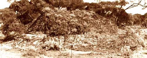 prototype quick release camoflaging of 40mm Bofors