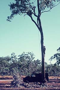 erecting Spotter platforms