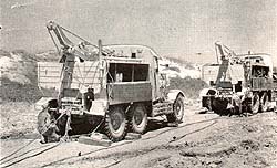 Scammel tractors in position